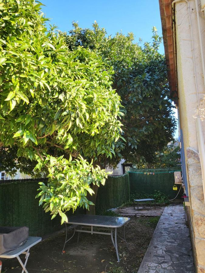 Clementine Apartment Collioure Exterior photo